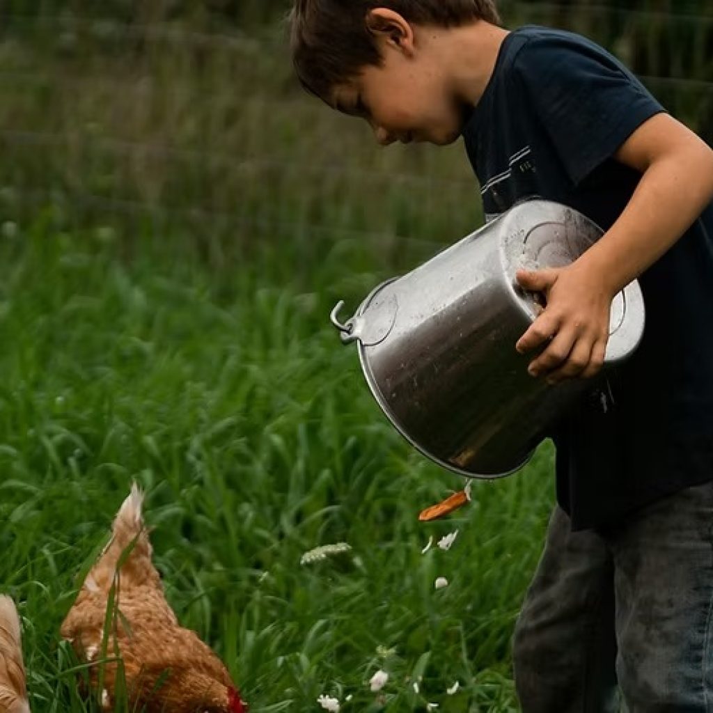 Discover Granite Ridge Farms: A Slice of Rural Charm Discover Granite Ridge Farms: A Slice of Rural Charm