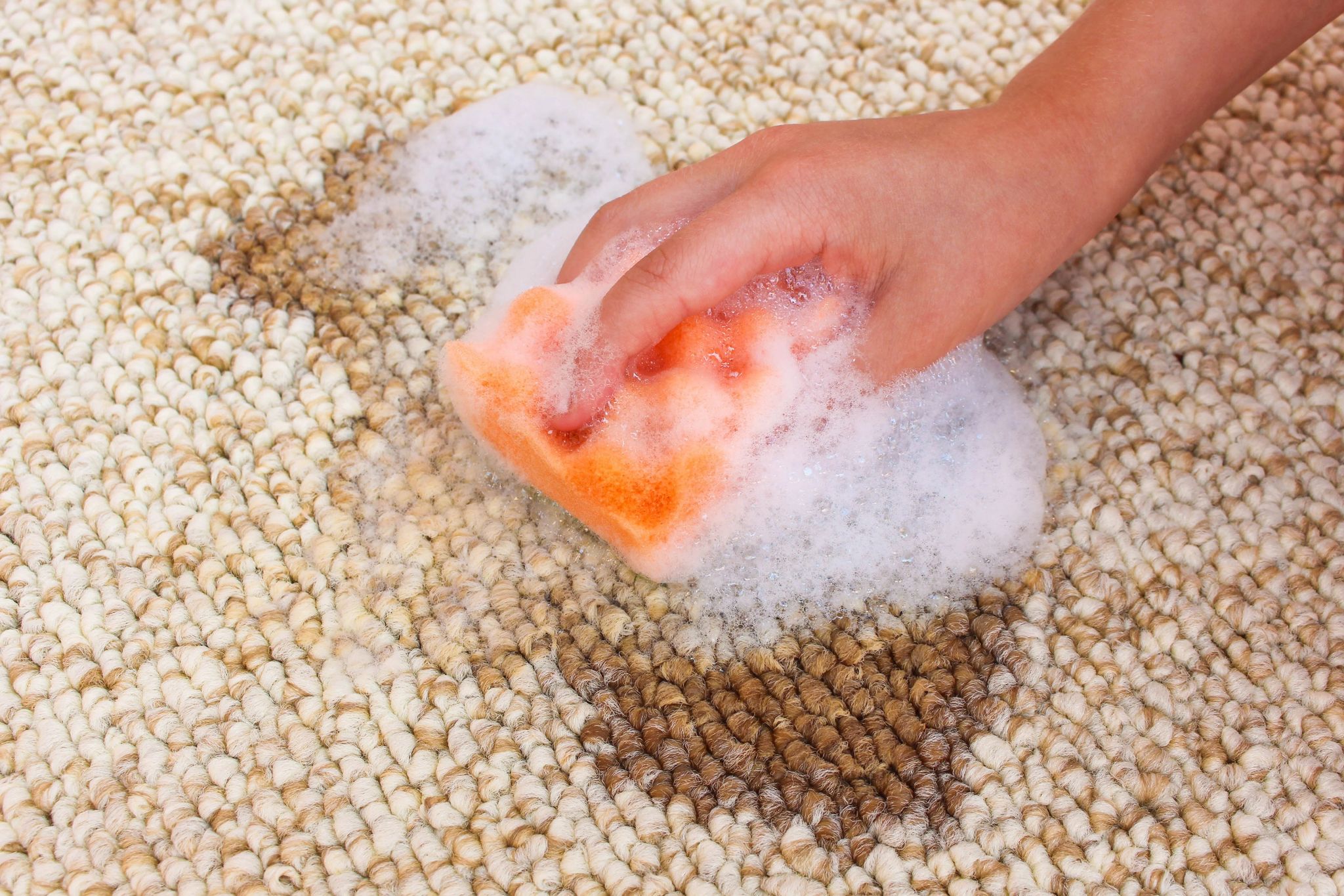 Eco Carpet Cleaning Options Compared for Healthier Homes