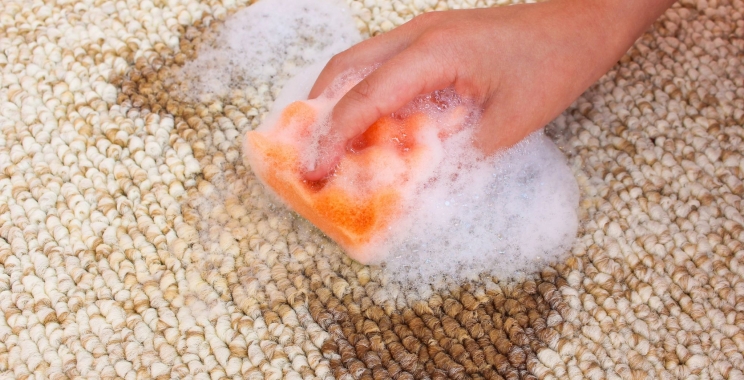 Eco Carpet Cleaning Options Compared for Healthier Homes
