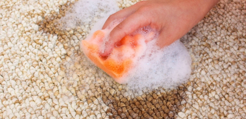 Eco Carpet Cleaning Options Compared for Healthier Homes