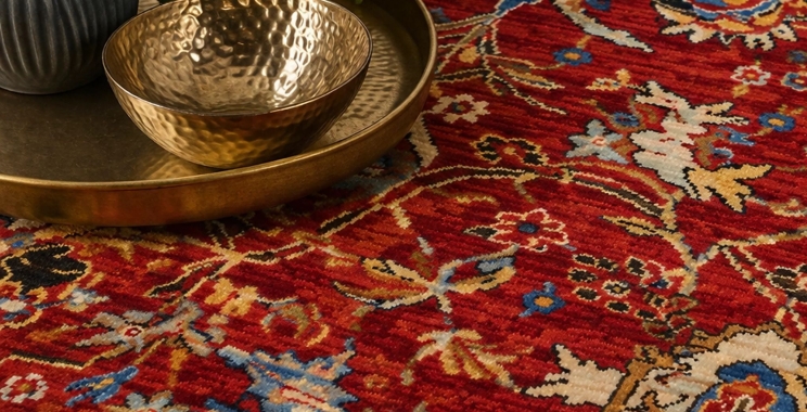 Expert Guide to Choosing Loloi Area Rugs for Your Home